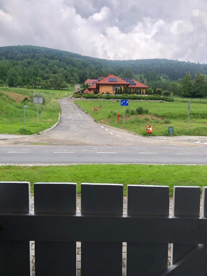 Apartament Deja Vu-Bieszczady Ustrzyki Dolne Kültér fotó